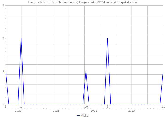 Fast Holding B.V. (Netherlands) Page visits 2024 