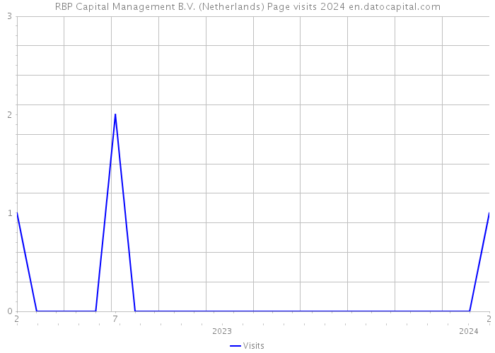 RBP Capital Management B.V. (Netherlands) Page visits 2024 