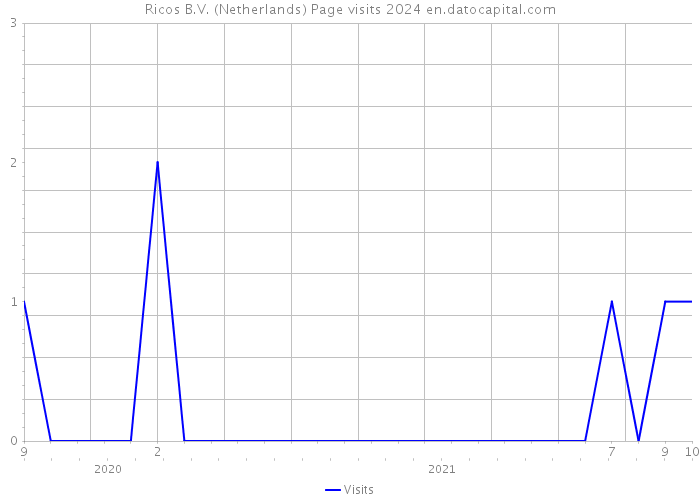 Ricos B.V. (Netherlands) Page visits 2024 