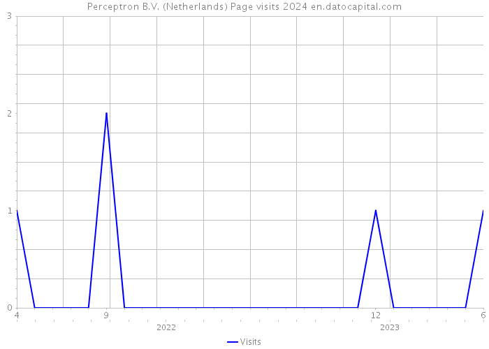 Perceptron B.V. (Netherlands) Page visits 2024 