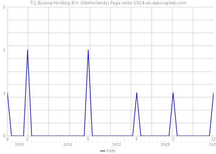 T.J. Bouma Holding B.V. (Netherlands) Page visits 2024 
