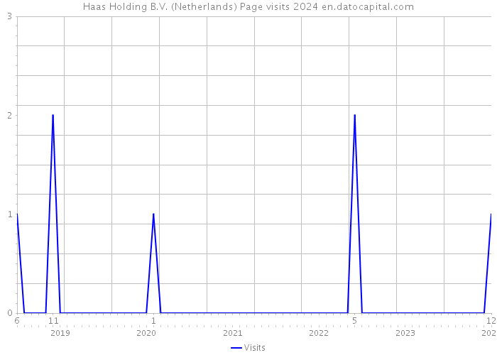 Haas Holding B.V. (Netherlands) Page visits 2024 