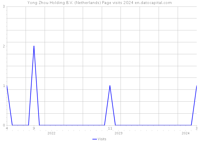 Yong Zhou Holding B.V. (Netherlands) Page visits 2024 