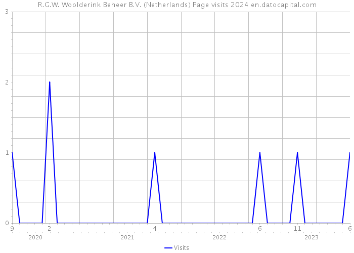 R.G.W. Woolderink Beheer B.V. (Netherlands) Page visits 2024 
