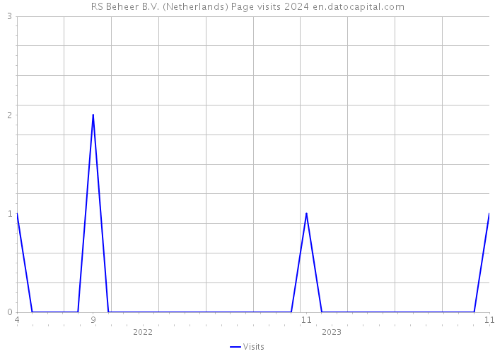 RS Beheer B.V. (Netherlands) Page visits 2024 