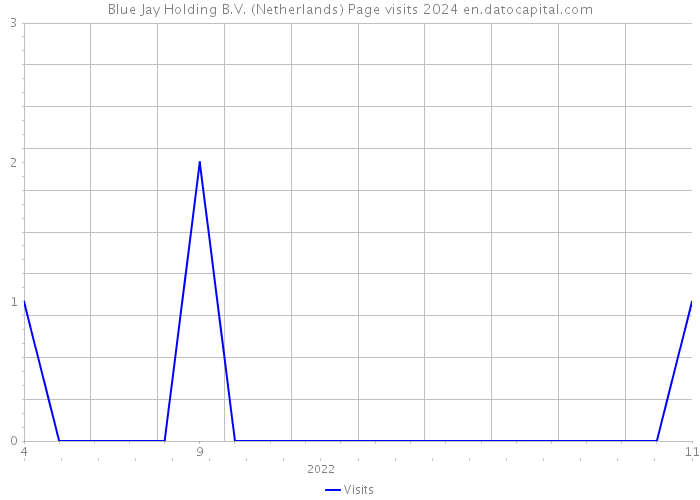 Blue Jay Holding B.V. (Netherlands) Page visits 2024 