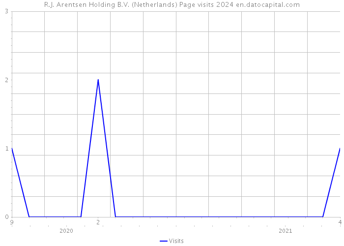 R.J. Arentsen Holding B.V. (Netherlands) Page visits 2024 