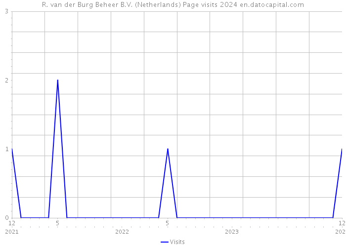 R. van der Burg Beheer B.V. (Netherlands) Page visits 2024 