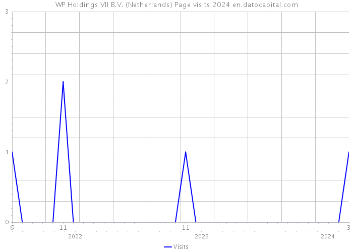 WP Holdings VII B.V. (Netherlands) Page visits 2024 