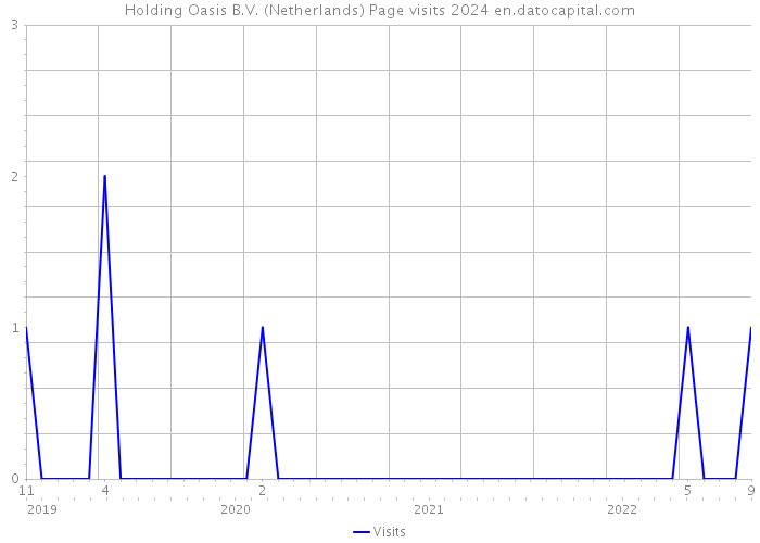 Holding Oasis B.V. (Netherlands) Page visits 2024 