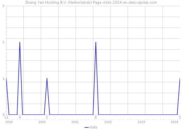 Zhang Yan Holding B.V. (Netherlands) Page visits 2024 