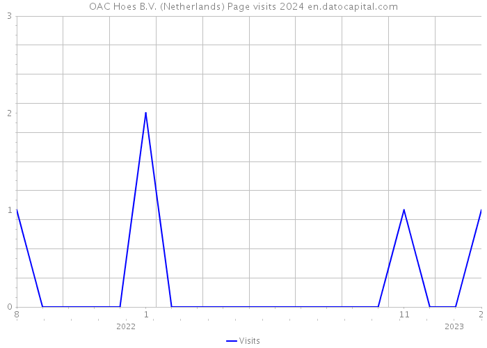 OAC Hoes B.V. (Netherlands) Page visits 2024 