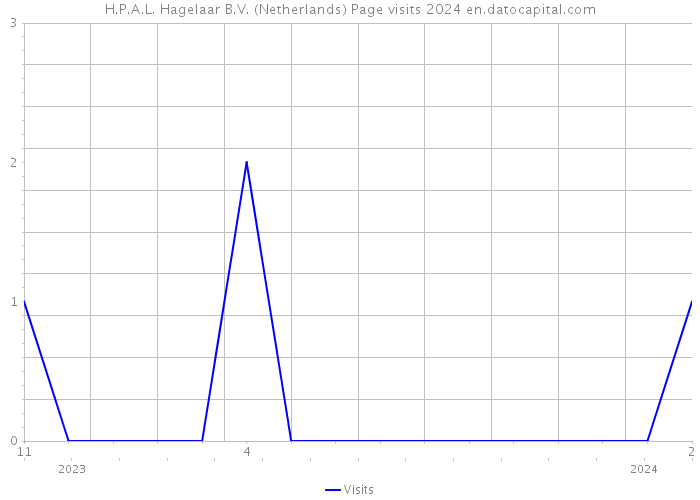 H.P.A.L. Hagelaar B.V. (Netherlands) Page visits 2024 