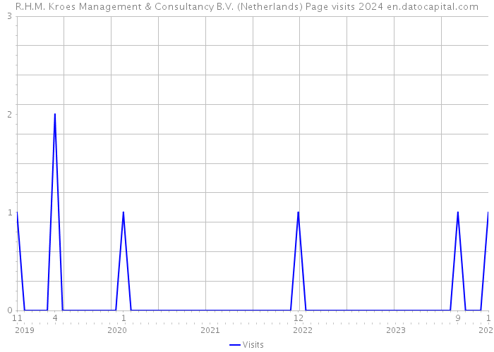 R.H.M. Kroes Management & Consultancy B.V. (Netherlands) Page visits 2024 