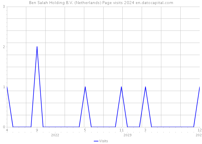 Ben Salah Holding B.V. (Netherlands) Page visits 2024 