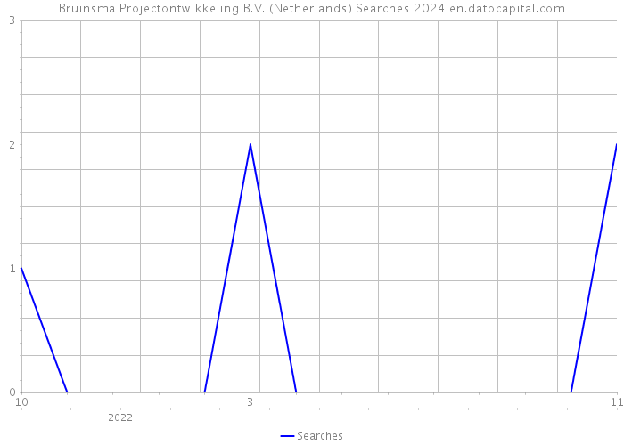 Bruinsma Projectontwikkeling B.V. (Netherlands) Searches 2024 