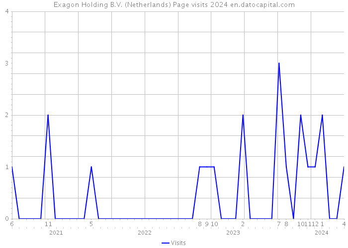 Exagon Holding B.V. (Netherlands) Page visits 2024 