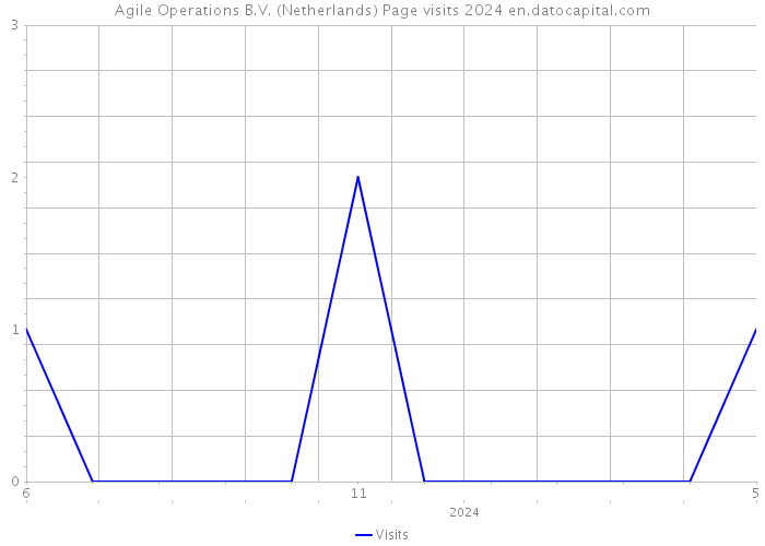 Agile Operations B.V. (Netherlands) Page visits 2024 