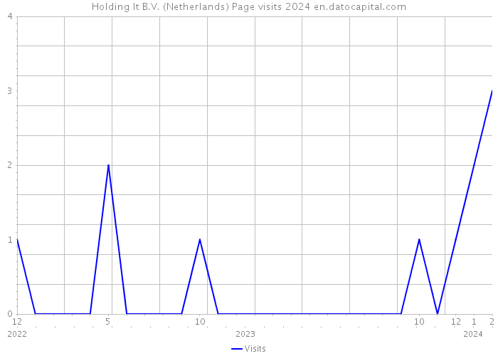 Holding It B.V. (Netherlands) Page visits 2024 