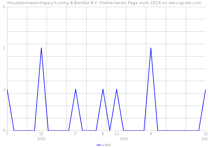 Houdstermaatschappij Koning & Bienfait B.V. (Netherlands) Page visits 2024 
