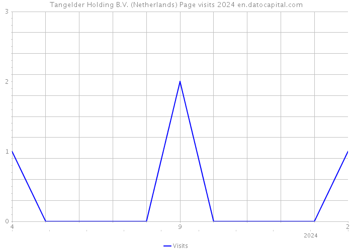 Tangelder Holding B.V. (Netherlands) Page visits 2024 
