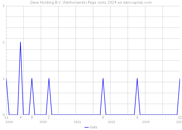 Dave Holding B.V. (Netherlands) Page visits 2024 