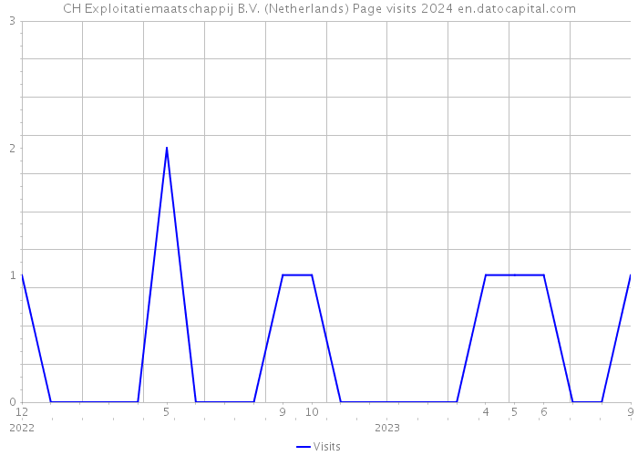 CH Exploitatiemaatschappij B.V. (Netherlands) Page visits 2024 