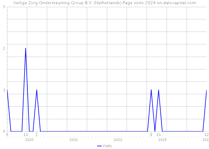 Veilige Zorg Ondersteuning Group B.V. (Netherlands) Page visits 2024 
