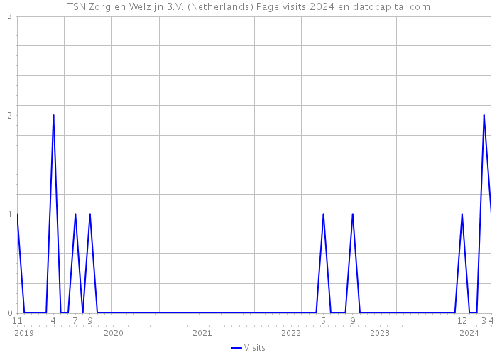 TSN Zorg en Welzijn B.V. (Netherlands) Page visits 2024 