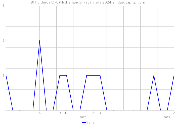BI Holdings C.V. (Netherlands) Page visits 2024 