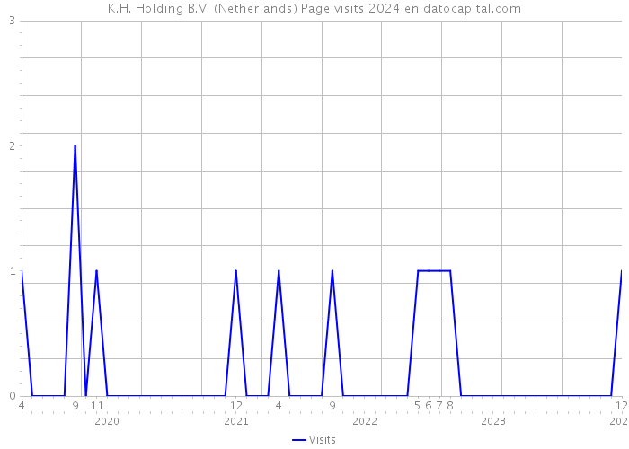K.H. Holding B.V. (Netherlands) Page visits 2024 