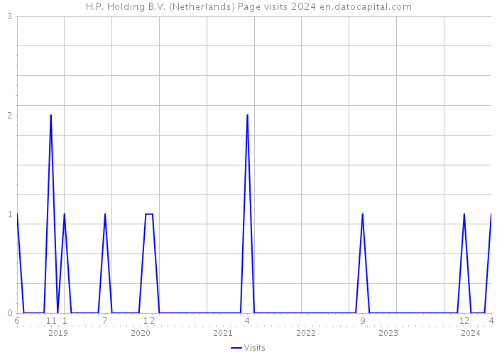 H.P. Holding B.V. (Netherlands) Page visits 2024 