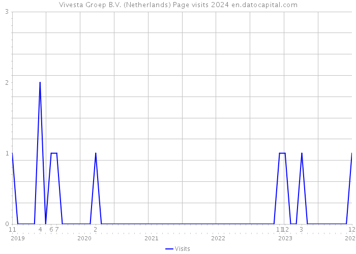 Vivesta Groep B.V. (Netherlands) Page visits 2024 