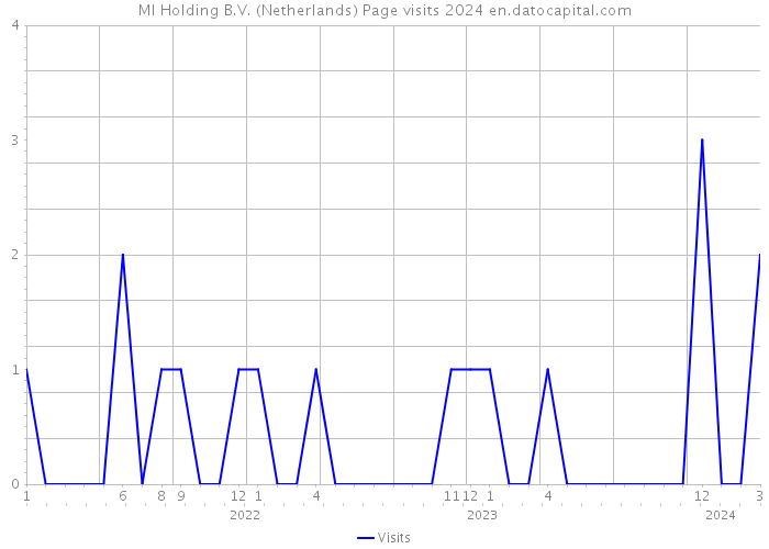 MI Holding B.V. (Netherlands) Page visits 2024 
