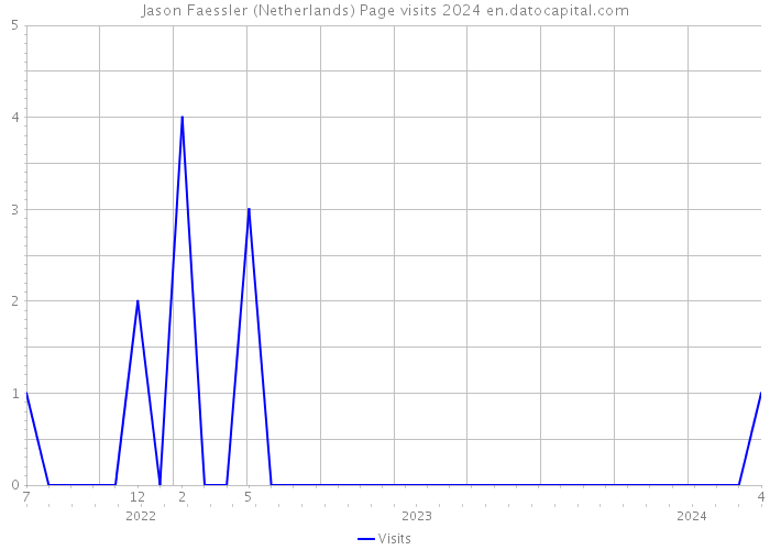 Jason Faessler (Netherlands) Page visits 2024 