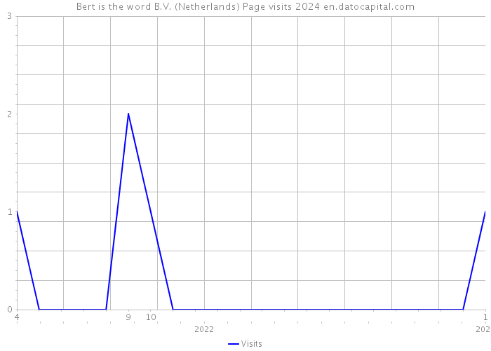 Bert is the word B.V. (Netherlands) Page visits 2024 
