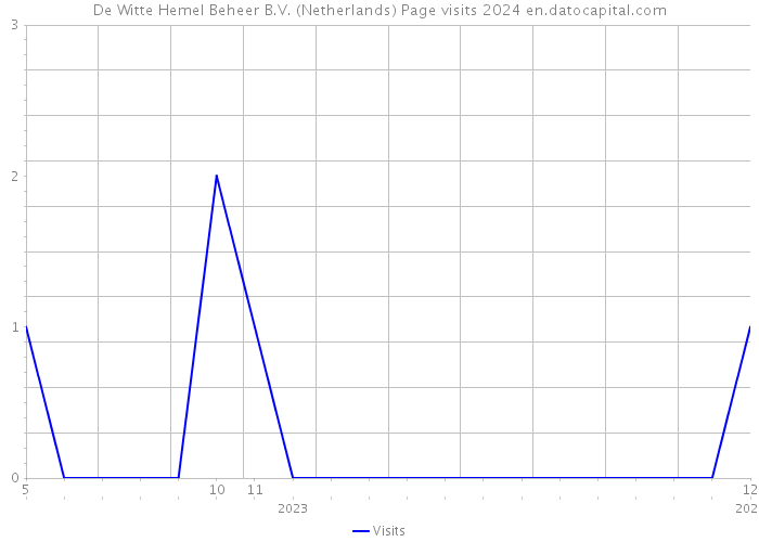 De Witte Hemel Beheer B.V. (Netherlands) Page visits 2024 