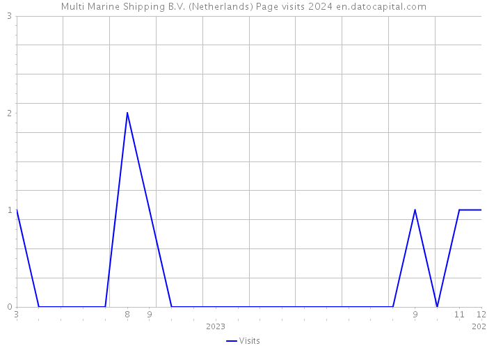 Multi Marine Shipping B.V. (Netherlands) Page visits 2024 