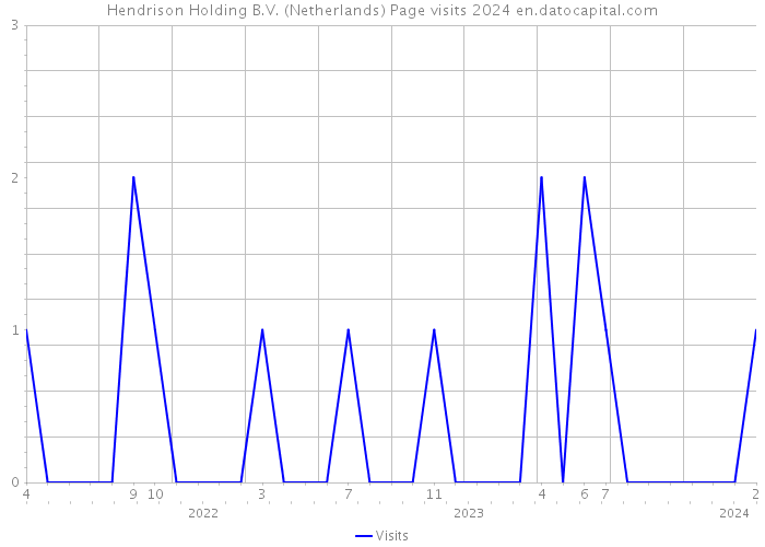Hendrison Holding B.V. (Netherlands) Page visits 2024 