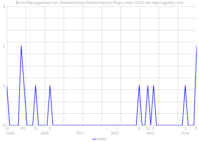 Blom Management en Ontwikkeling (Netherlands) Page visits 2024 