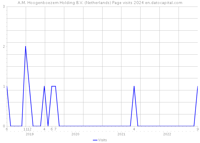 A.M. Hoogenboezem Holding B.V. (Netherlands) Page visits 2024 