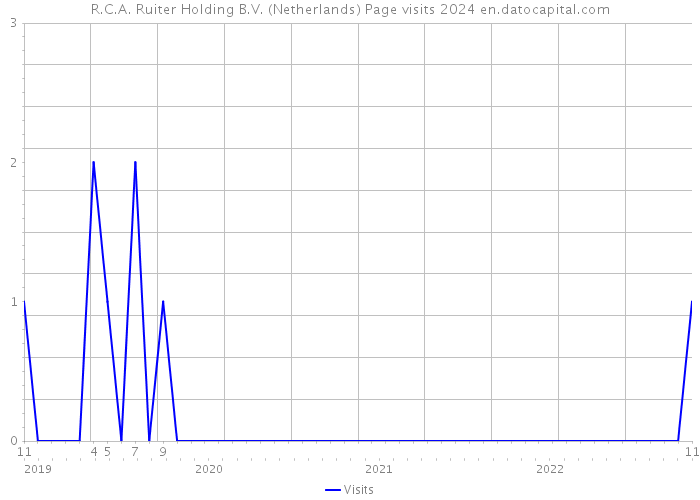 R.C.A. Ruiter Holding B.V. (Netherlands) Page visits 2024 