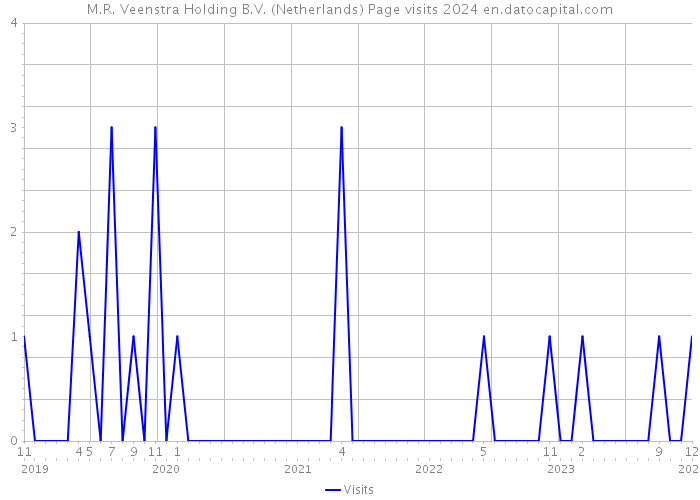 M.R. Veenstra Holding B.V. (Netherlands) Page visits 2024 