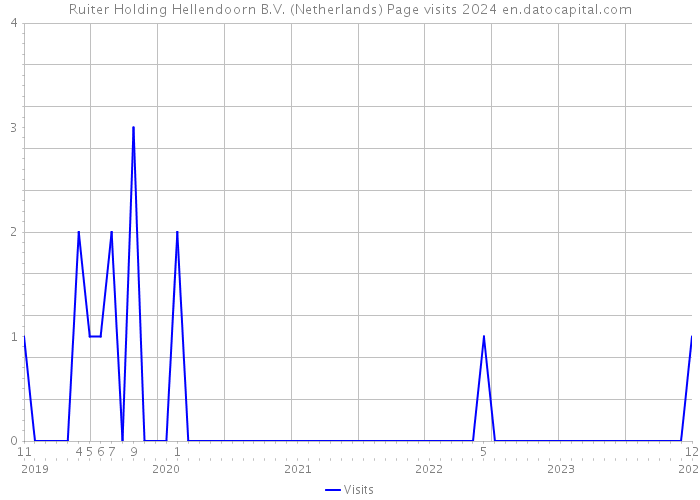 Ruiter Holding Hellendoorn B.V. (Netherlands) Page visits 2024 