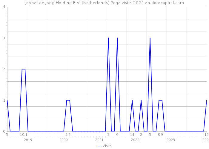 Japhet de Jong Holding B.V. (Netherlands) Page visits 2024 