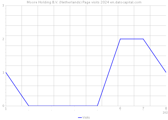 Moore Holding B.V. (Netherlands) Page visits 2024 