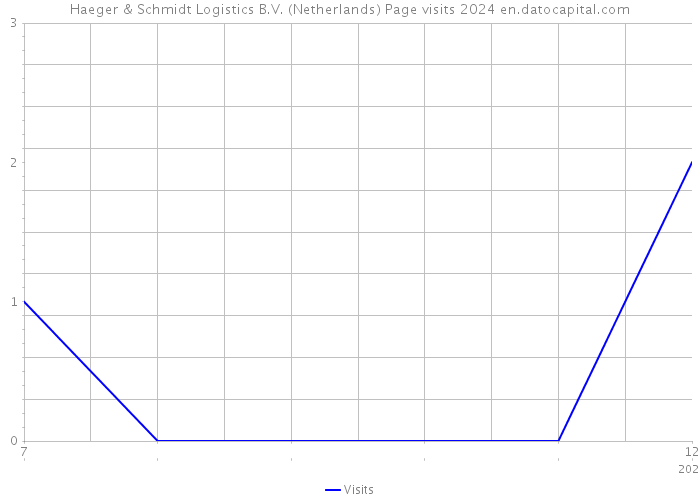Haeger & Schmidt Logistics B.V. (Netherlands) Page visits 2024 