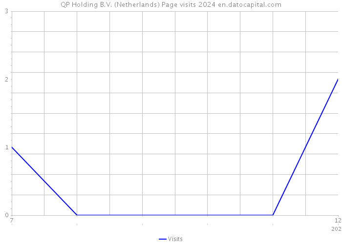 QP Holding B.V. (Netherlands) Page visits 2024 
