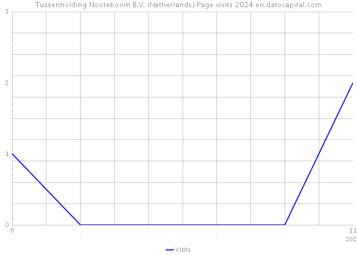 Tussenholding Nooteboom B.V. (Netherlands) Page visits 2024 