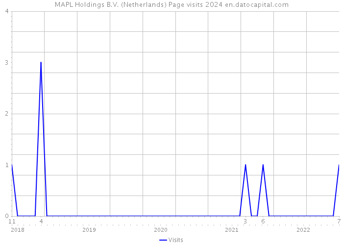 MAPL Holdings B.V. (Netherlands) Page visits 2024 